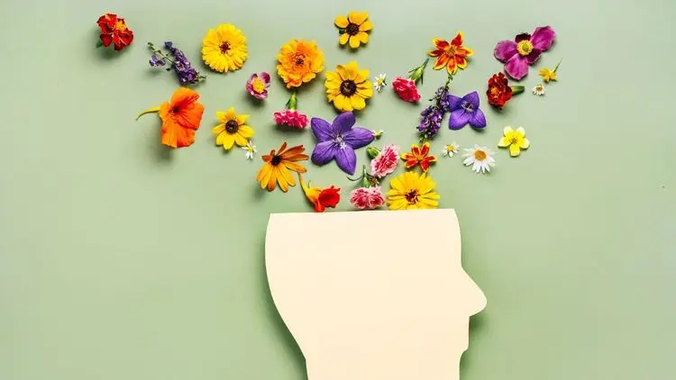 Cannabis em saúde mental avança com novas evidências, aponta estudo