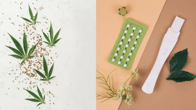 O CBD corta o efeito do anticoncepcional? Descubra