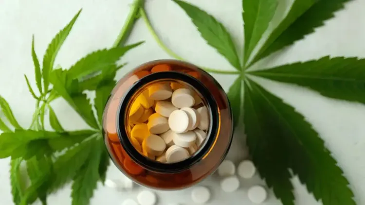 Comprimido de cannabis mostra efeito rápido contra a dor