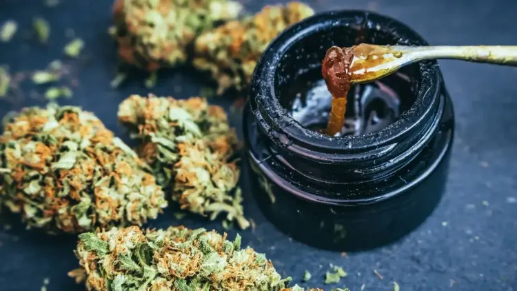 Concentrados de cannabis terão regras mais rígidas nos EUA