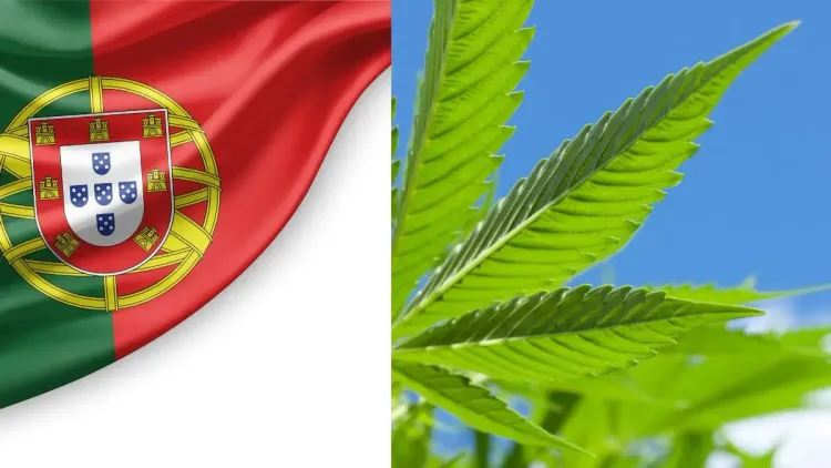 Descriminalização em Portugal: o que mudou em 25 anos?