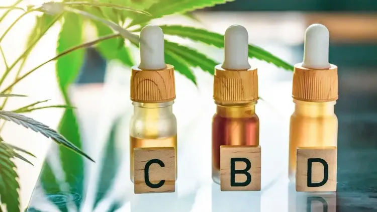 CBD tem evidências suficientes para quais tratamentos?