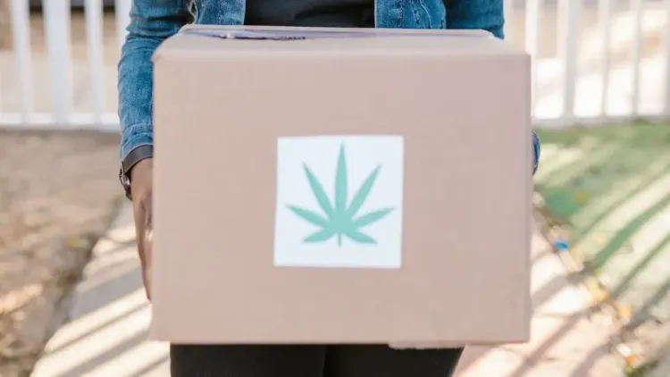 Envio de cannabis pode chegar à casa de pacientes na Geórgia