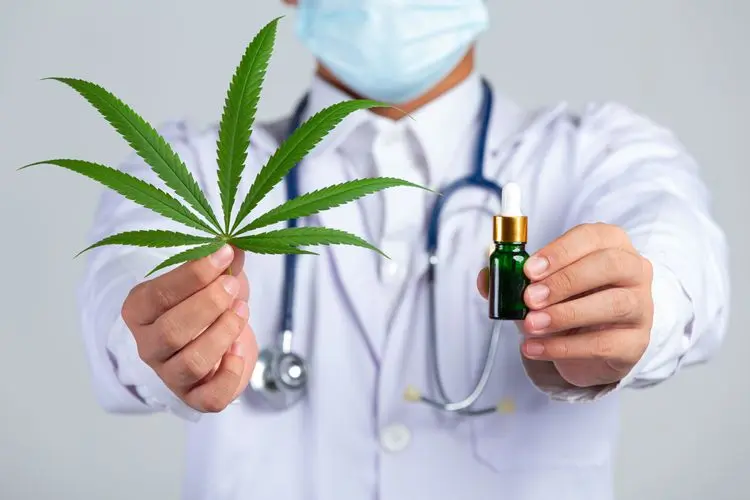 Estudo avalia Implementação de um projeto modelo de distribuição de cannabis em farmácias alemãs
