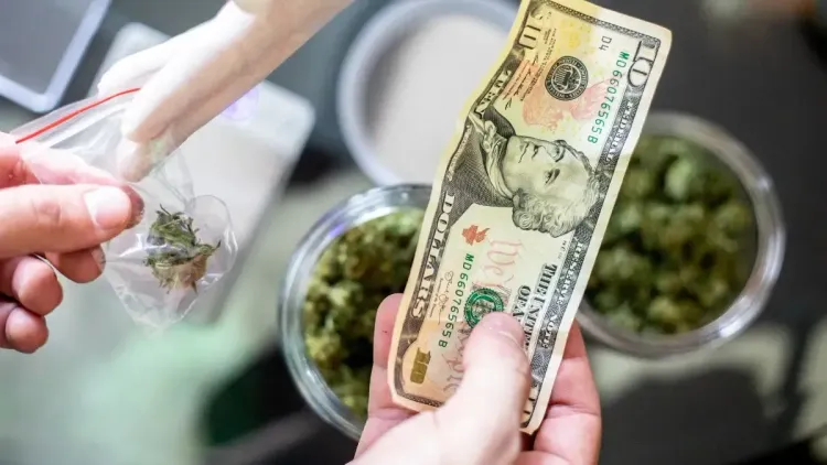 Vendas de cannabis disparam e chegam a US$ 250 milhões