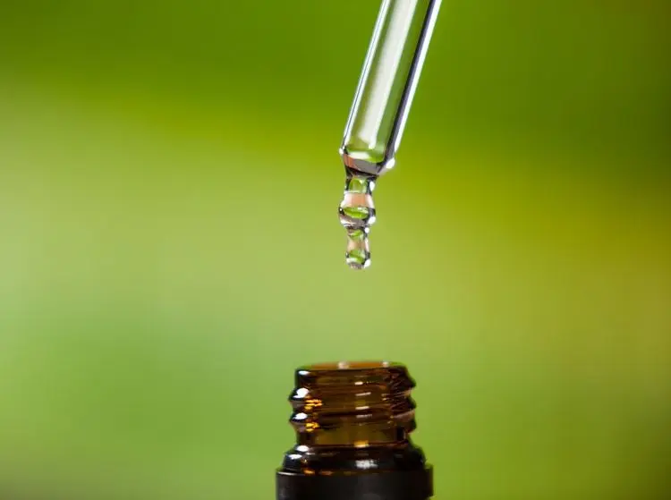 Empresa uruguaia mira mercado brasileiro para fornecer produtos à base de cannabis conforme RDC 327