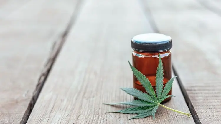 Proposta de restrição na importação de Cannabis (RDC 660) gera reação no mercado