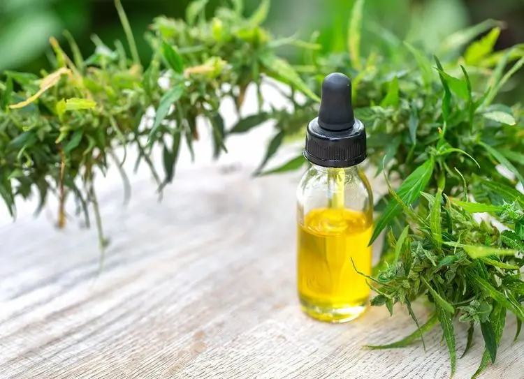 Revisão da RDC nº 327: Perspectivas para o Avanço do Mercado de Cannabis Medicinal no Brasil