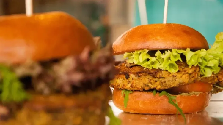 Proteína de cânhamo ganha força como alternativa à carne