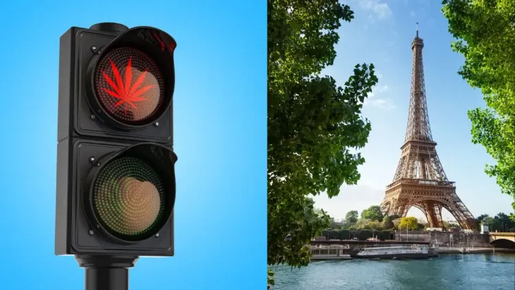 Regulamentação da cannabis na França enfrenta novo impasse