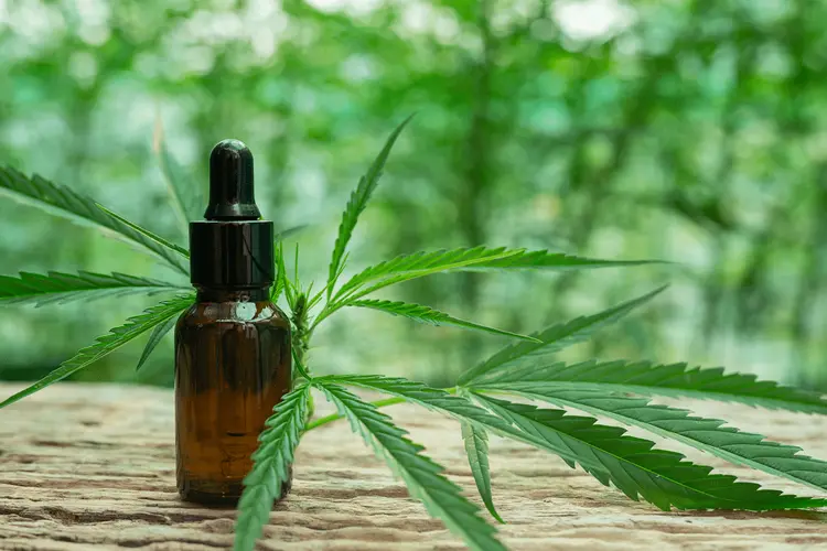<strong>Nove doenças que podem ser tratadas com cannabis medicinal</strong>