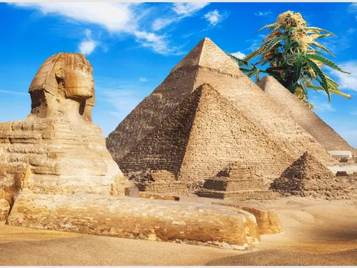 Imagem da noticia: Antiguo Egipto utilizaba cannabis para fines medicinales hace milenios