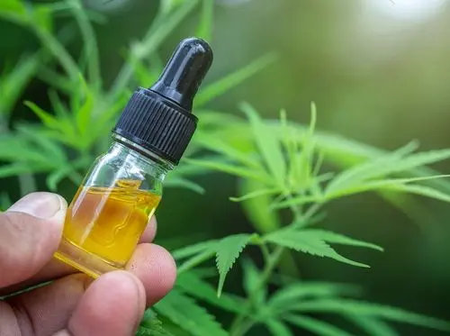 El CBD potencia los efectos del THC en lugar de mitigarlos, según un nuevo estudio sobre cannabis
