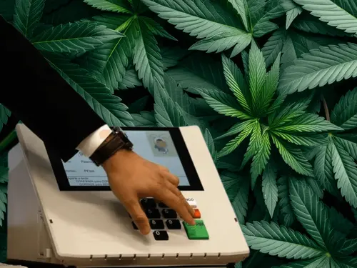 Imagem da noticia: Veja os vereadores eleitos em São Paulo que defendem o uso medicinal e industrial da cannabis