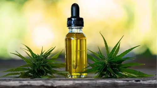 Imagem da noticia: In record time: City Council approves distribution of medicinal cannabis and sanction is on the way