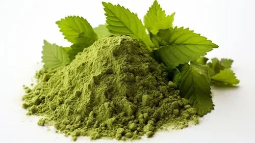 O que é a mitraginina? FDA dá sinal verde para estudo que pode transformar o tratamento da dependência