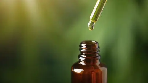 Imagem da noticia: Salvador crea un programa para capacitar a médicos sobre cannabis medicinal en la red pública