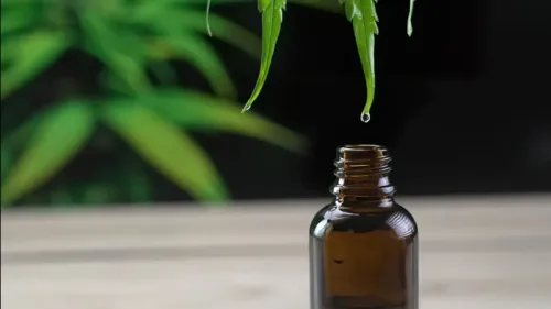 Recreational cannabis vs medical cannabis: is there a difference?