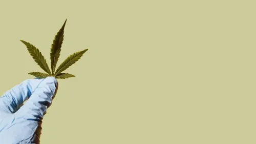 ¿Puede el CBD proteger la memoria? Un estudio brasileño ofrece pistas
