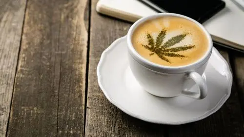 Imagem da noticia: Cannabis, café e gastronomia: São Francisco cria regras para consumo em estabelecimentos