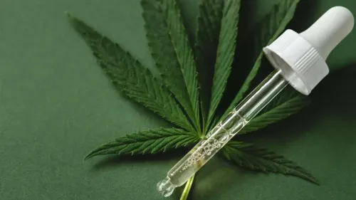 Cannabis medicinal: CFF aprova regra para farmacêuticos