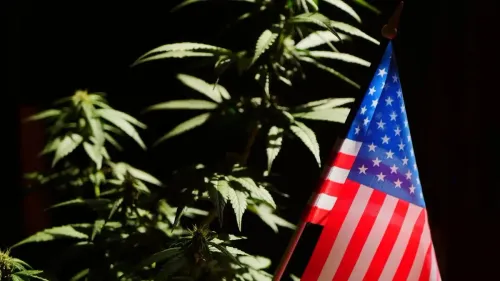 Cannabis nos EUA: Carolina do Norte propõe vetos ao THC