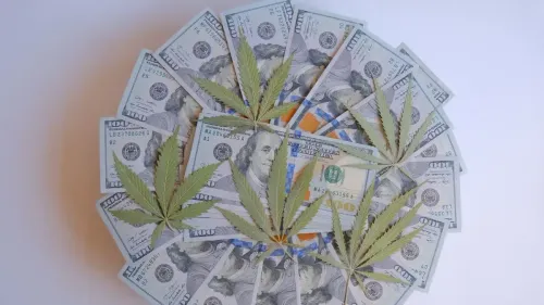 Imagem da noticia: Imposto sobre cannabis pode gerar bilhões nos Estados Unidos