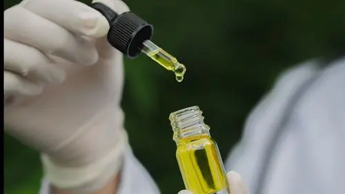 Pesquisa clínica evalúa cannabis en el Alzheimer en Jundiaí