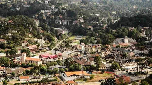 Imagem da noticia: Campos do Jordão (SP) files bill for distribution of Medicinal Cannabis by SUS