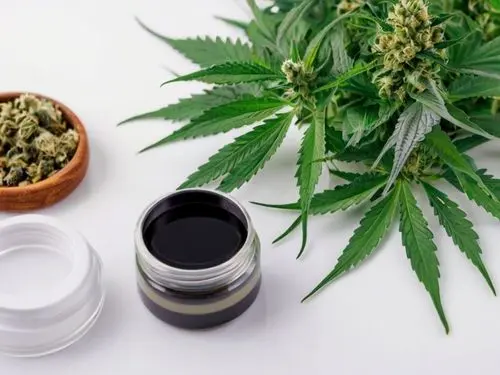 Beabá da cannabis medicinal no Brasil