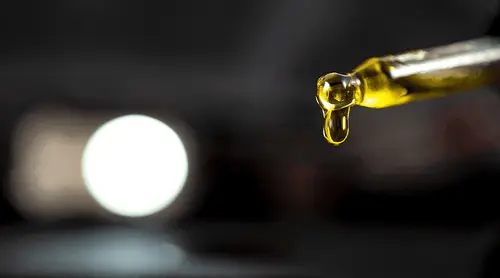Uso de cannabis no tratamento da leucemia pode ser até 75% mais eficaz que o tratamento convencional