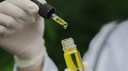Imagem da noticia: CBCM oferece masterclass 100% gratuita: Cannabis Medicinal: Tudo o que você precisa saber em 2025