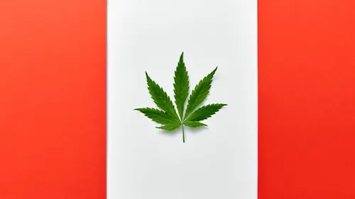 Canadenses consideram que legalização da cannabis foi a maior conquista de Justin Trudeau