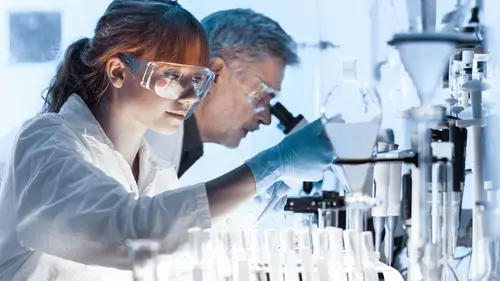 Tipos de estudios científicos: cómo influyen en las decisiones médicas y farmacéuticas