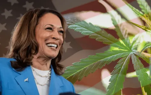 Kamala Harris: "Precisamos Legalizar a Maconha nos EUA"