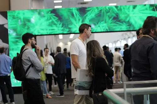 Medical Cannabis Fair: oportunidades e networking no mercado canábico brasileiro