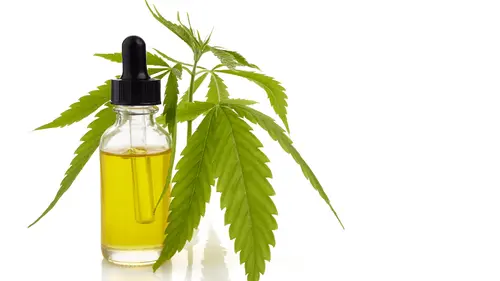 Formas seguras de usar cannabis: los consejos de la dentista canábica Joyce Bernardo