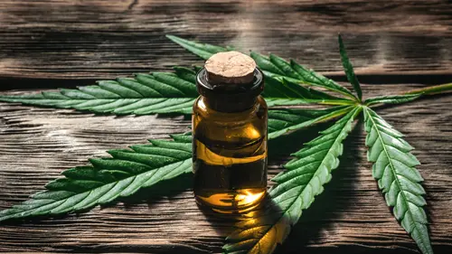 Pesquisa internacional cobra mais rigor científico no uso da cannabis medicinal