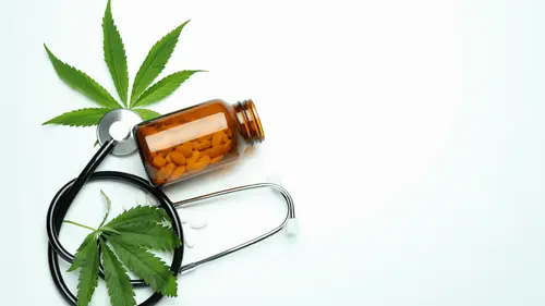 Project with participation of HC of USP and Santa Casa de SP investigates impacts of medicinal cannabis in 2,500 patients