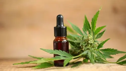 Anvisa aprova novo produto à base de cannabis no Brasil