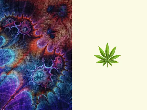 Psicodélicos x cannabis: ¿cuál es mejor para la salud mental?