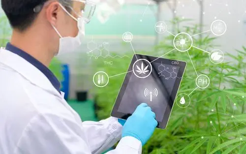 Imagem da noticia: Explora la plataforma completa para el conocimiento y negocios de cannabis medicinal