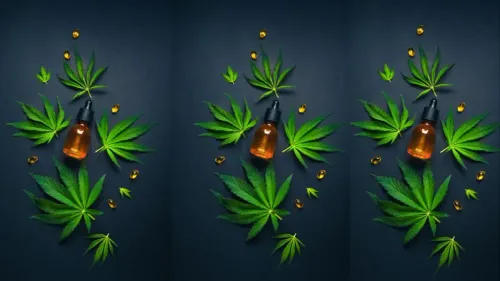 Imagem da noticia: Tem ansiedade? Veja como o CBD pode ser um aliado 