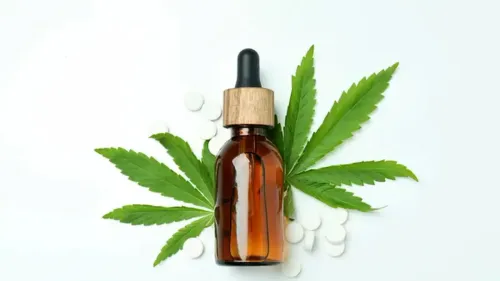 Cannabis medicinal na França: pacientes cobram acesso