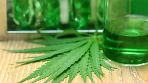 Imagem da noticia: Cannabis na Argentina ganha laboratório público em Mendoza