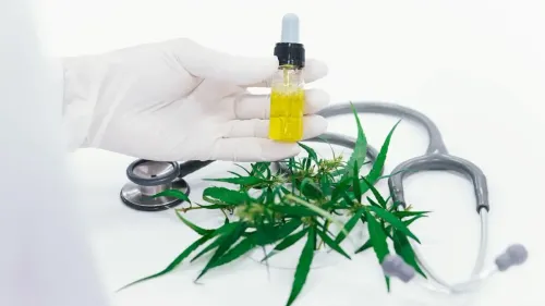 Imagem da noticia: Cannabis na Espanha chega a 50 hospitais nesta semana