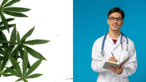 Cannabis in medicine: what are future doctors lacking?