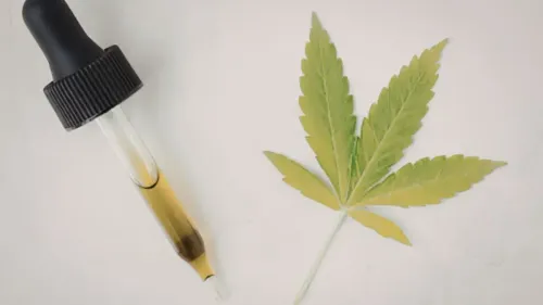 Cannabis na Ucrânia ganha espaço no cuidado oncológico