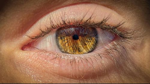 Cannabis para os olhos: estudo testa colírio de CBD