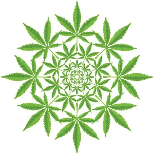 ¿Puede el cannabis inducir un estado psicodélico? Descubre lo que descubrieron los investigadores